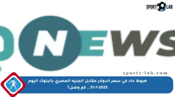 هبوط حاد في سعر الدولار مقابل الجنيه المصري بالبنوك اليوم 31-7-2025.. كم وصل؟